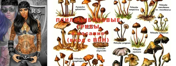прущая мука Заволжье