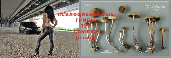 прущая мука Заволжье